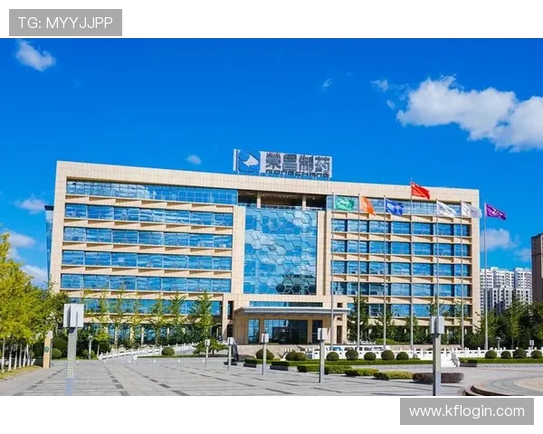 凯发集团会员注册不了的原因分析与详细解决方案推荐